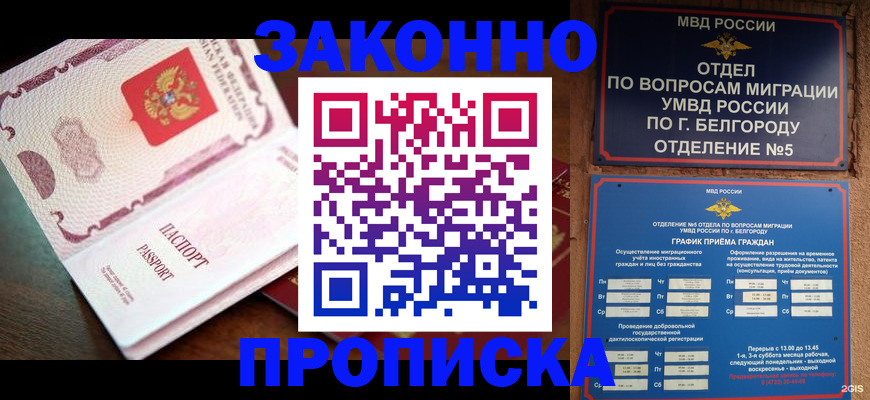 временная регистрация для школы в Новороссийске